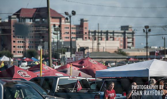 South Carolina Gamecock Fans