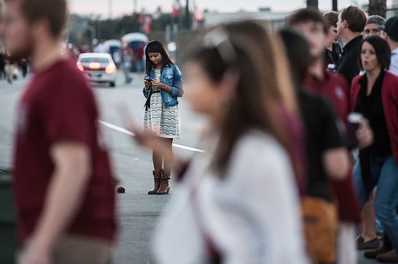 South Carolina Fan Photos