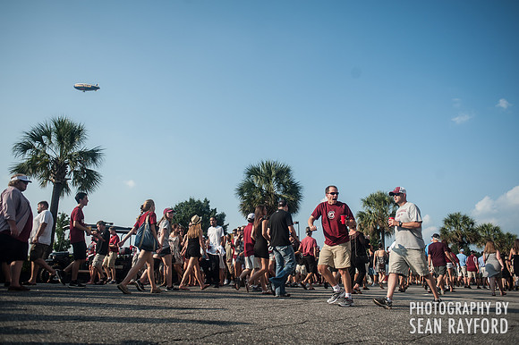 Gamecock Football Fans