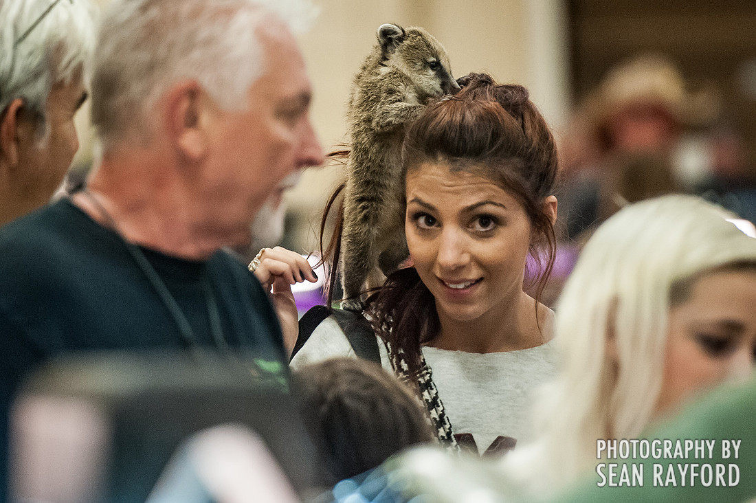Repticon Columbia SC Photographer