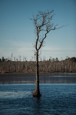 South Carolina Landscape Photography
