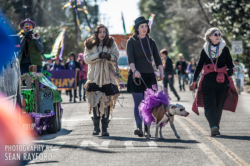Mardi Gras Columbia SC 2015 Photos