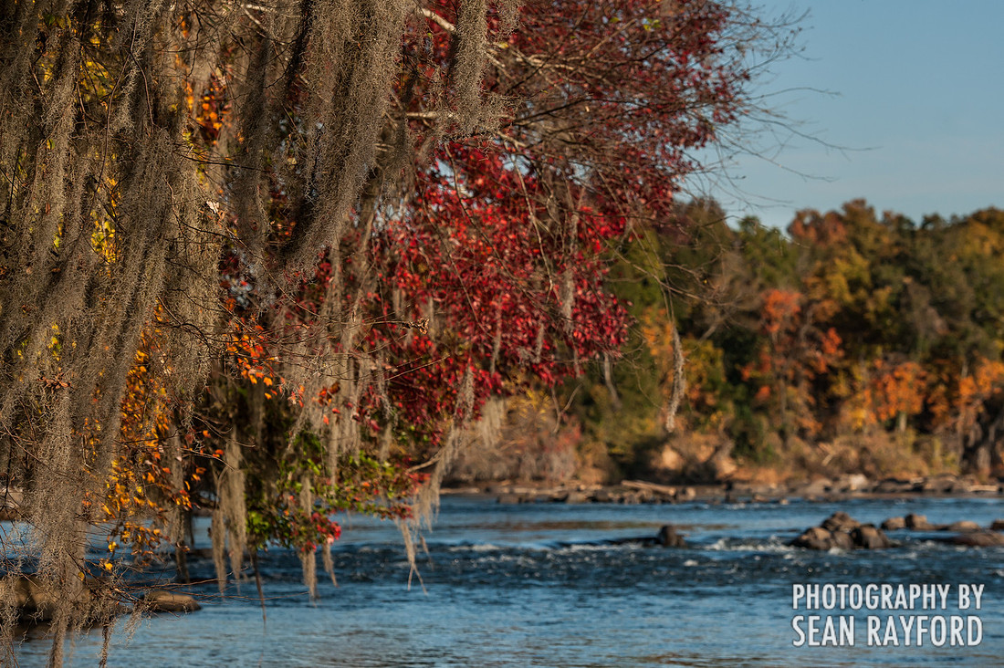 Columbia SC Photography