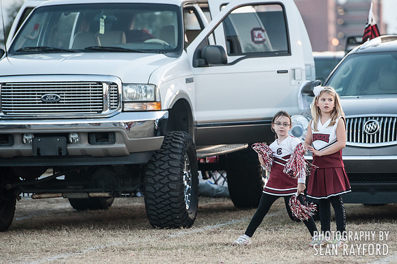 South Carolina Fan Photos