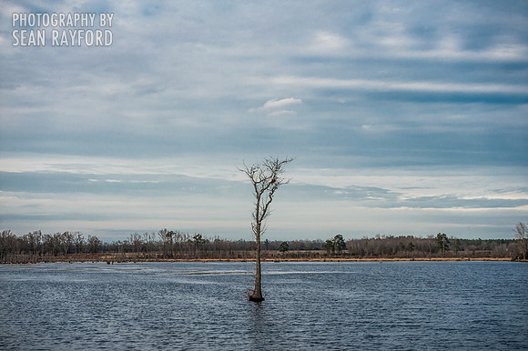South Carolina Photography