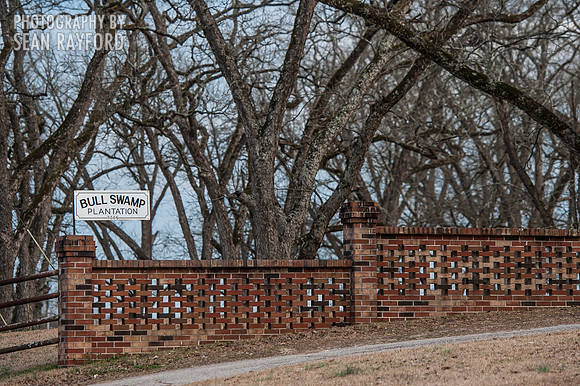 South Carolina Photography