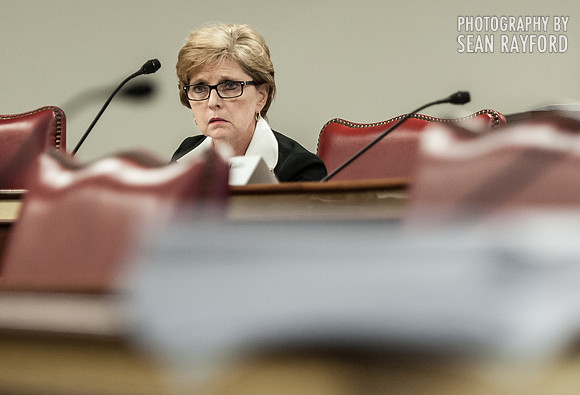 South Carolina DSS Hearing