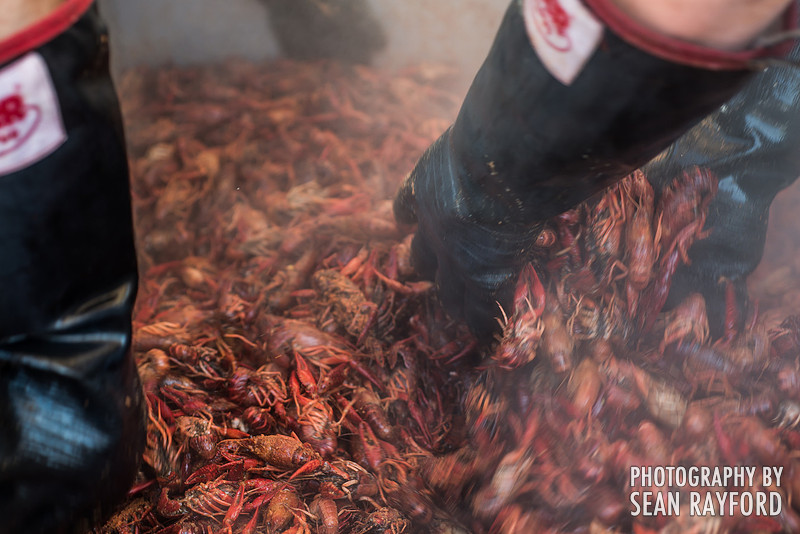 Photography: Rosewood Crawfish Fest - Columbia SC
