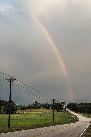 South Carolina Photography - Calhoun County