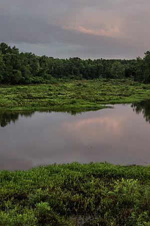 South Carolina Photography - Calhoun County