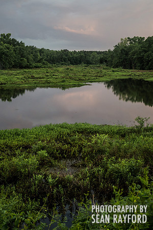 South Carolina Photography - Calhoun County