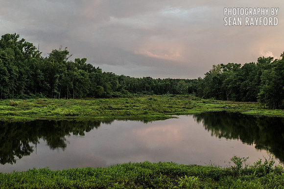 South Carolina Photography - Calhoun County
