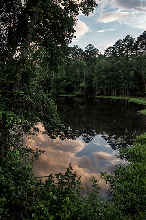 South Carolina Photography - Calhoun County