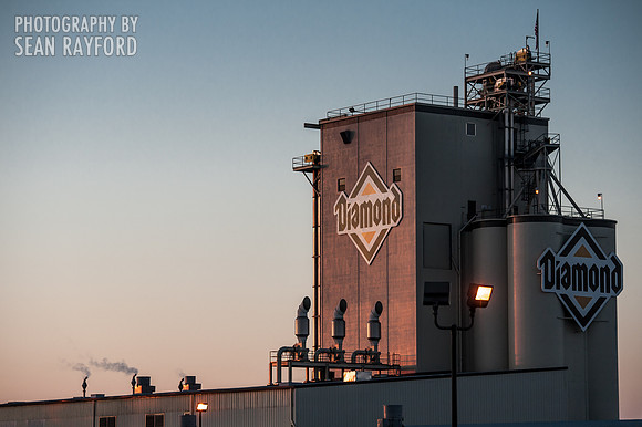 South Carolina Photography