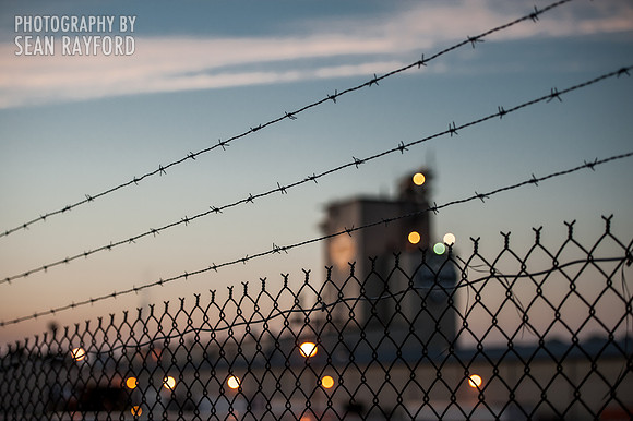 South Carolina Photography