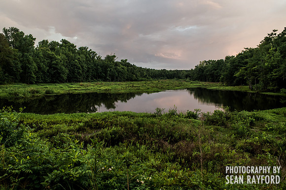South Carolina Photography - Calhoun County