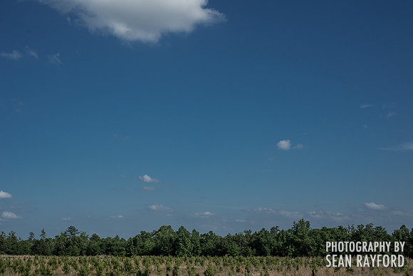 Columbia SC Photographer