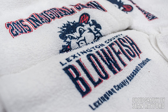 Lexington County Blowfish Photos
