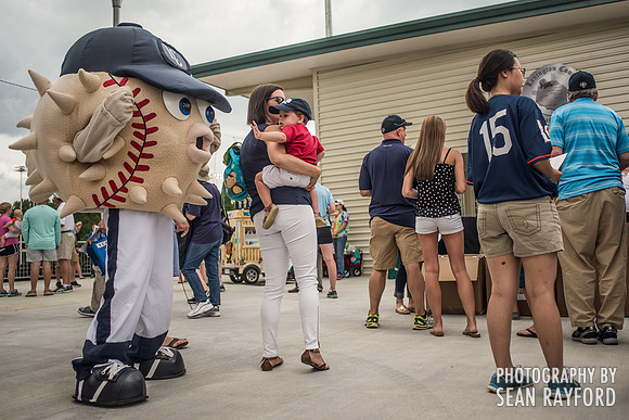 Lexington County Blowfish Photos