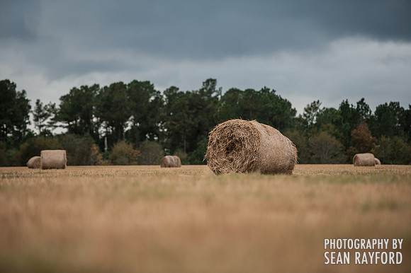 South Carolina Landscape Photography