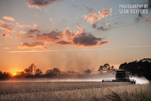 South Carolina Landscape Photography