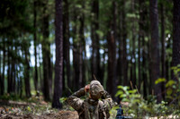 Basic Training 21252