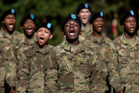 Basic Training 21258