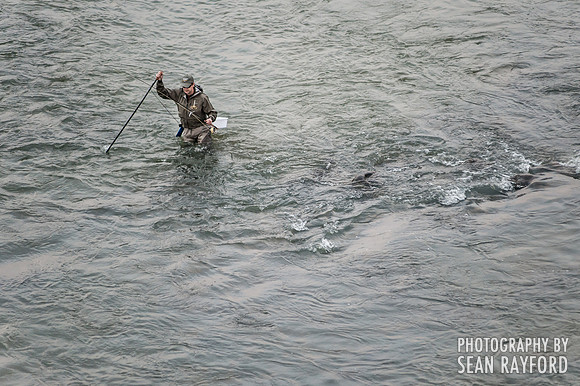 Congaree River by South Carolina Photographer Sean Rayford