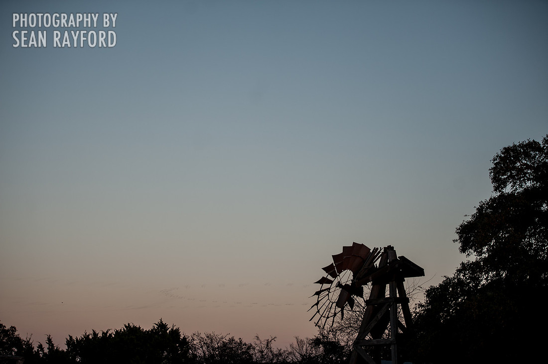 Willie Nelson's Heartbreaker Banquet 2014 - Photos by South Carolina photographer Sean Rayford
