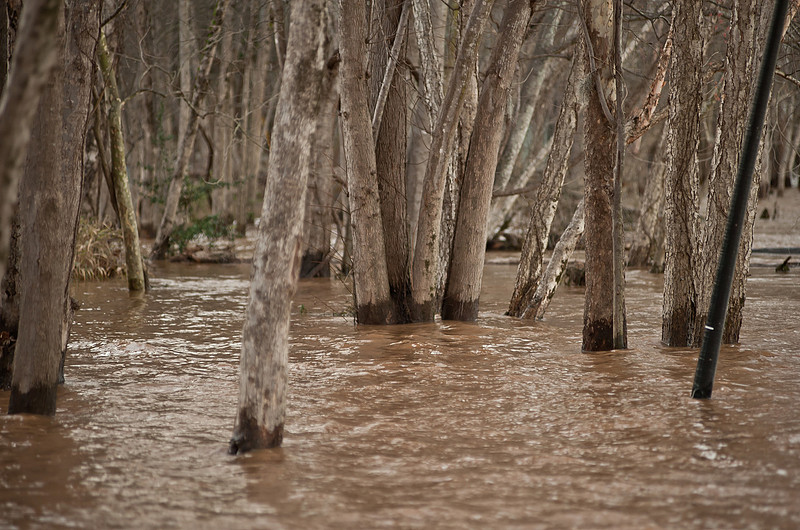 Photography by Columbia SC Photographer Sean Rayford