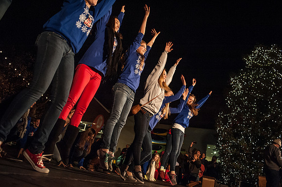 Vista Lights 2013 - Columbia SC