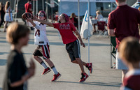 South Carolina Gamecock Fans