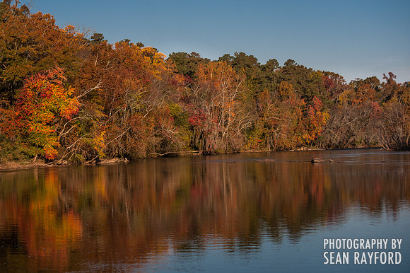 Fall Colors - Columbia SC