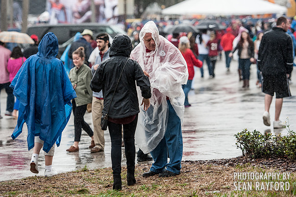 Citrus Bowl Photos - 2014
