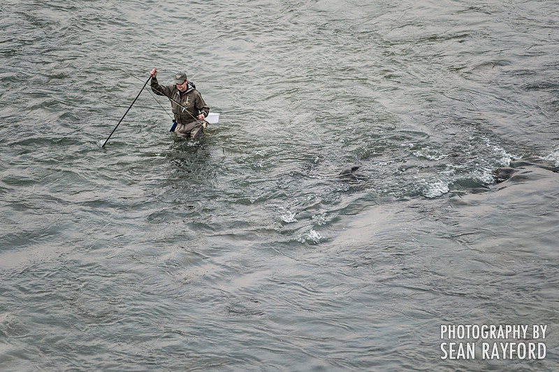 Fishing on the Congaree by South Carolina Photographer Sean Rayford
