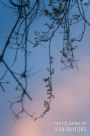 Congaree River by South Carolina Photographer Sean Rayford