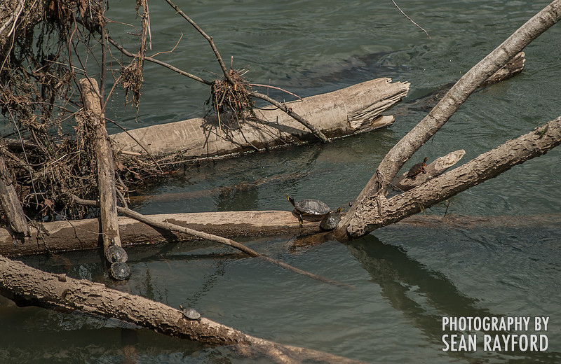 Fishing on the Congaree by South Carolina Photographer Sean Rayford