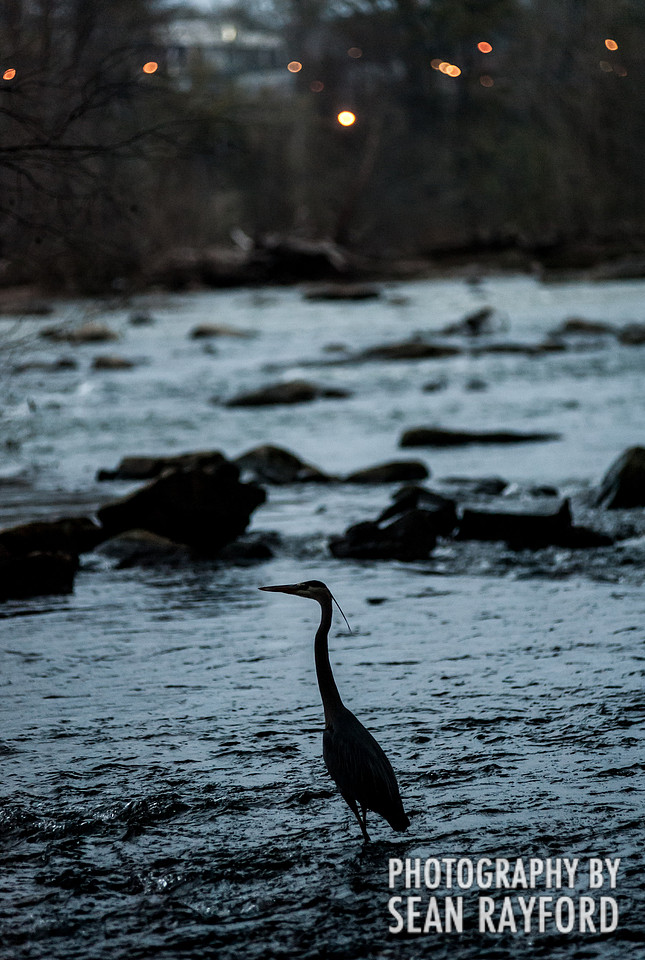 Fishing on the Congaree by South Carolina Photographer Sean Rayford