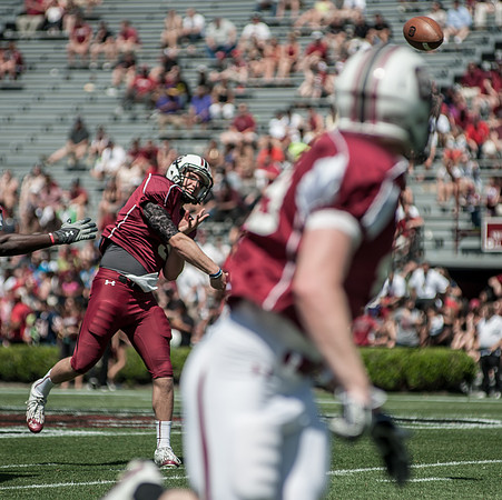 South Carolina Spring Game Photos - 2013