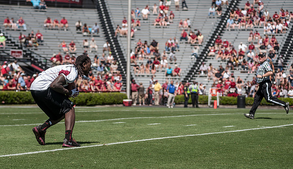 South Carolina Spring Game Photos - 2013