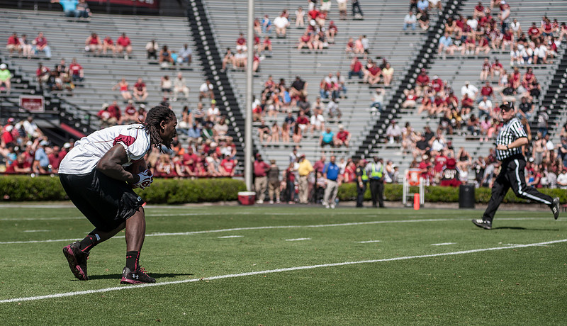 South Carolina Photographer - Clowney