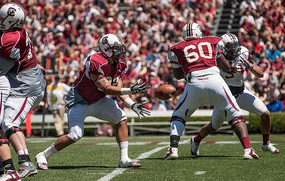 South Carolina Spring Game Photos - 2013