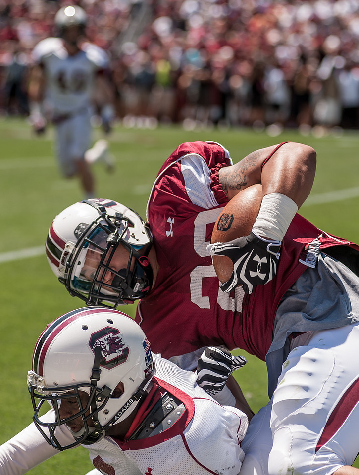 South Carolina Spring Game - Photos - 2013