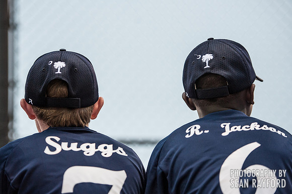 Dixie Youth World Series - 2014 - Lexington SC