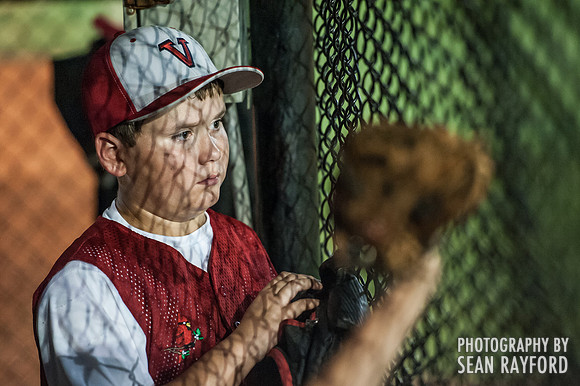 Dixie Youth World Series - 2014 - Lexington SC