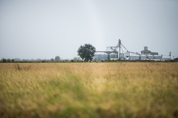 Road Trip through Louisiana - Photos