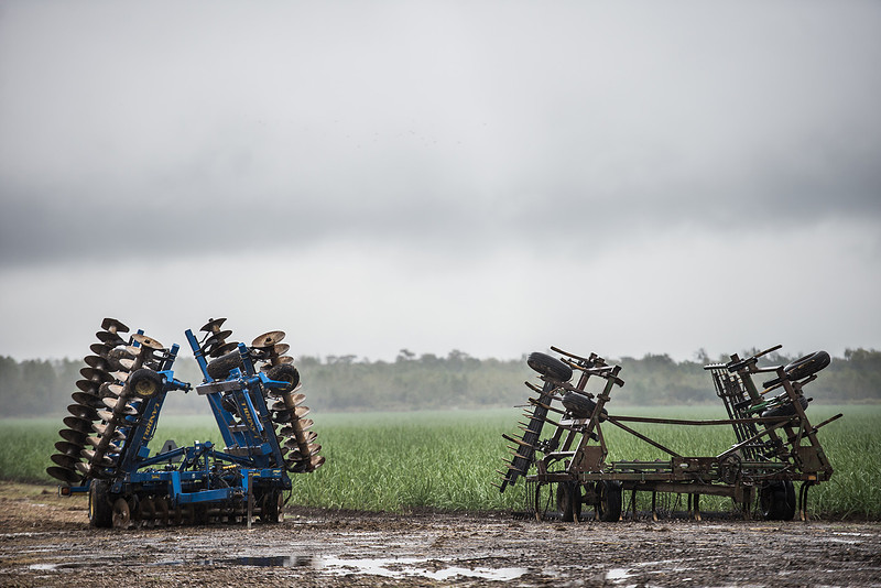 Road Trip through Louisiana - Photos