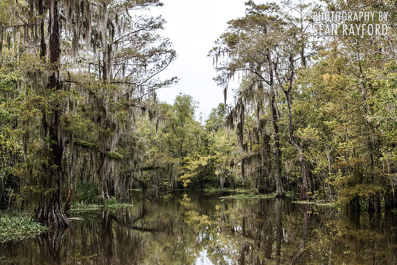 Road Trip through Louisiana - Photos