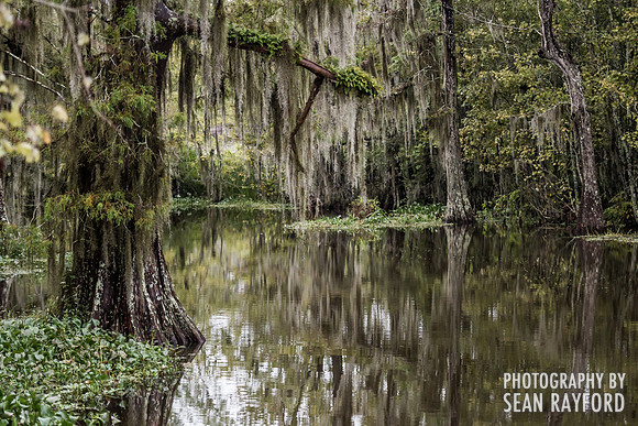 Road Trip through Louisiana - Photos