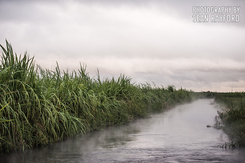 Road Trip through Louisiana - Photos